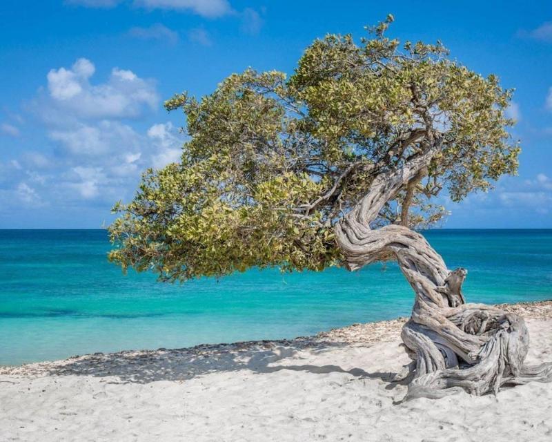 Villa Park Fontein Curacao Exteriér fotografie